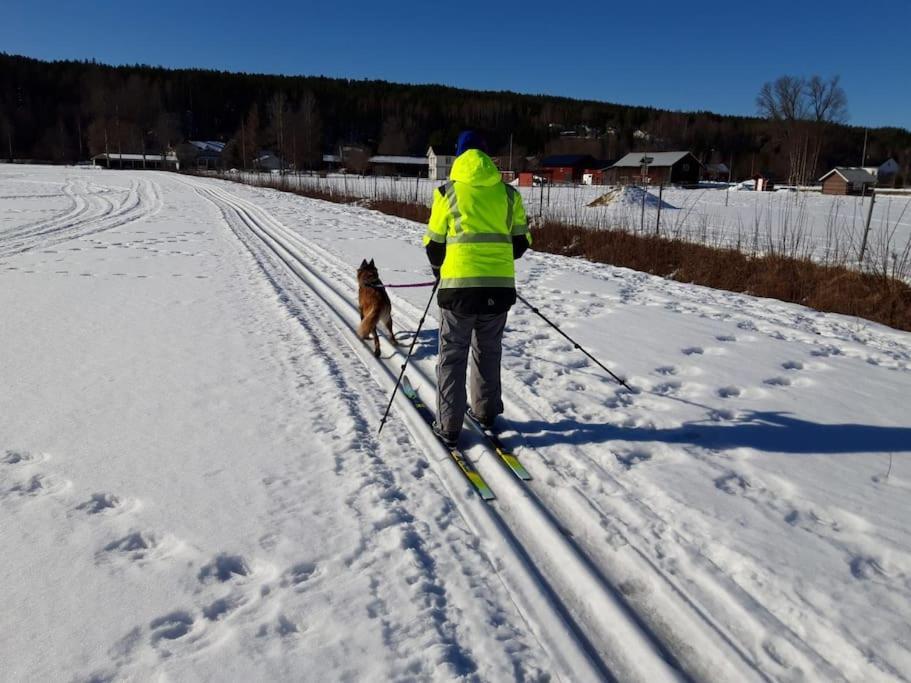 Appartamento Ladansloft Stöllet Esterno foto