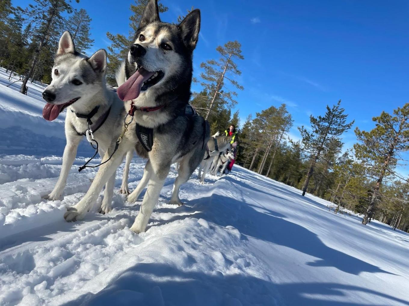 Appartamento Ladansloft Stöllet Esterno foto