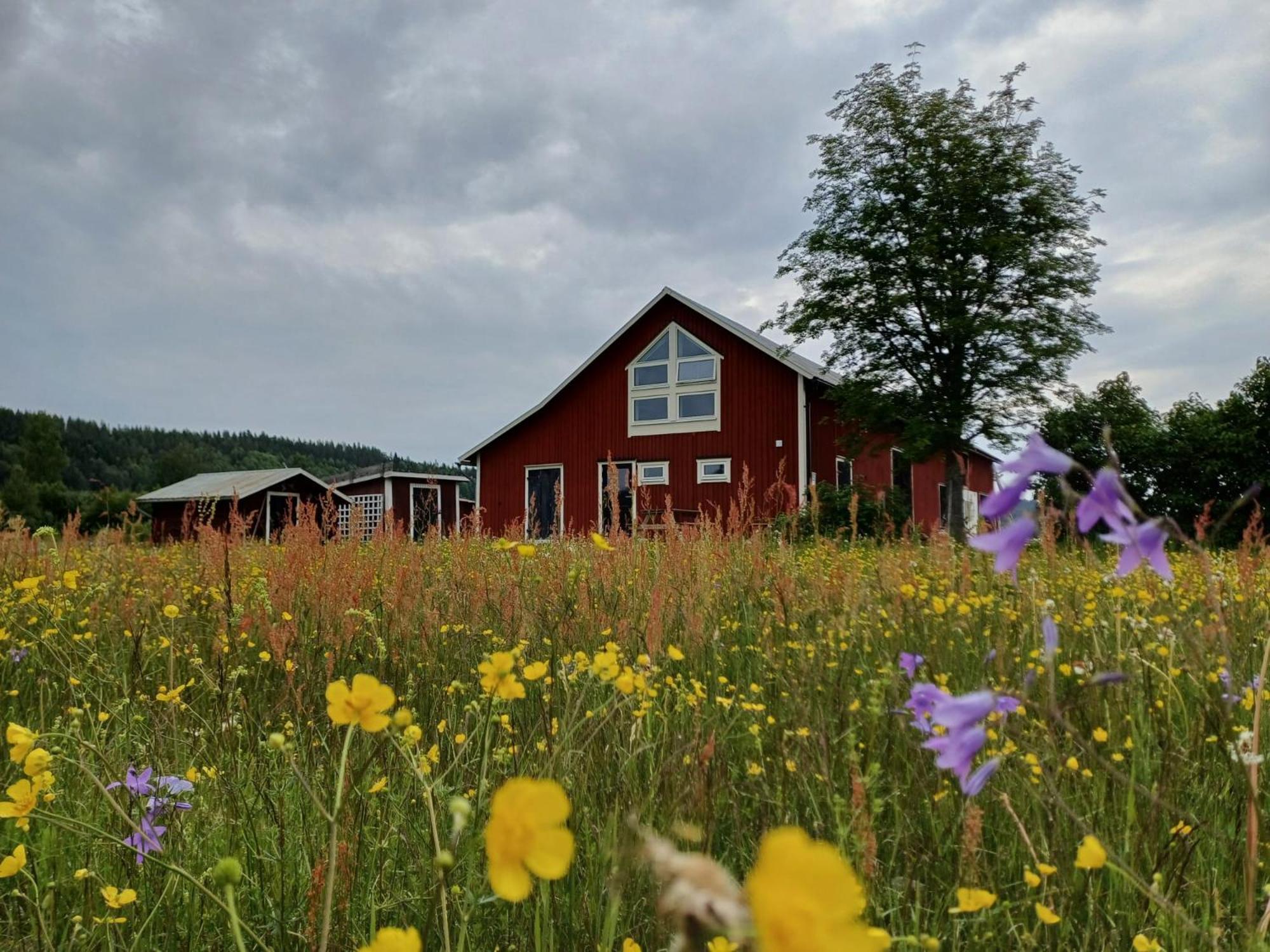 Appartamento Ladansloft Stöllet Esterno foto